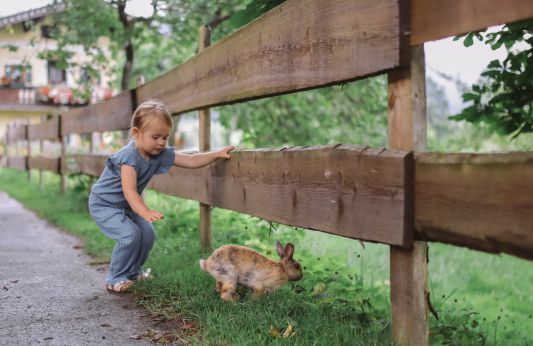 Tiere, Spaß und Spiel