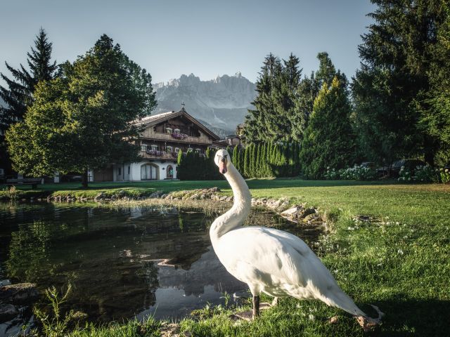 Schwanenteich vor dem Gasthof